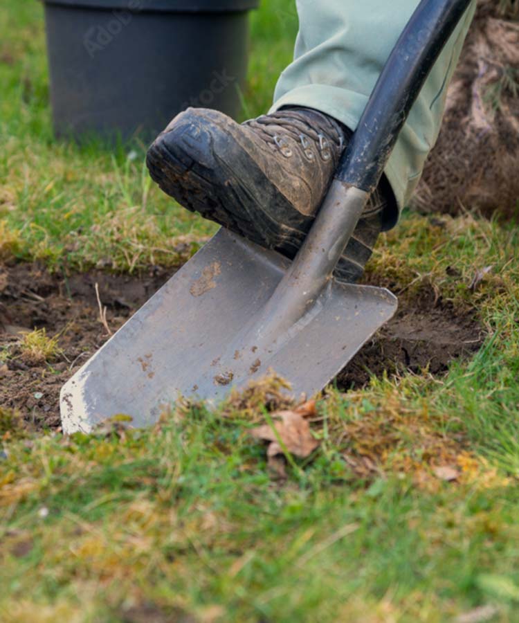 Gärtner Gartenarbeiten